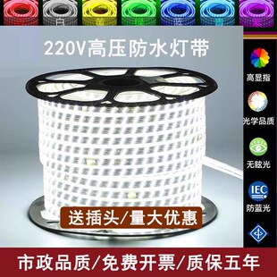 风云榜led灯带220v家用超高亮贴片客厅暖色卧室内吊顶户外防水灯