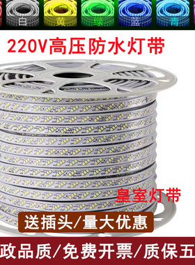 达祥之光220V高压LED灯带36V低压灯带灯带土豪金白富美120珠双排