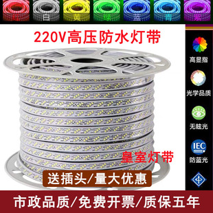 达祥之光220V高压LED灯带36V低压灯带灯带土豪金白富美120珠双排