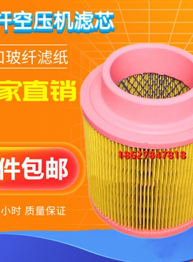 英格索兰XF/EP/XP30S螺杆机空滤风格42855429空气滤清器保养配件