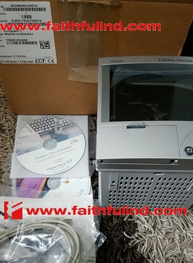 E+H RSG30-A1B3AAA1 恩德斯豪斯全新显示器件 Ecograph T