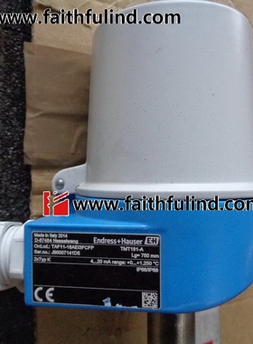 E+H TAF11-16AEI3FCFP 恩德斯豪斯全新温度传感器 TMT181-A