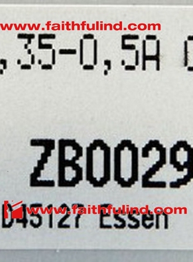 ZB0029 易福门全新AS-i从站模块 PowerSwitch 0.5A 0.12KW