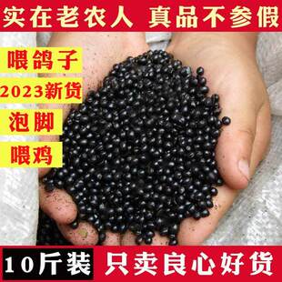 韩城大红袍花椒籽鸽粮专用麻椒粒喂鸽子赛鸽椒喂养信鸽花椒籽泡脚