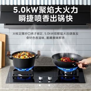 美 燃气灶双灶厨房台嵌双用大火力5.0kw全进风一级能效Q230A