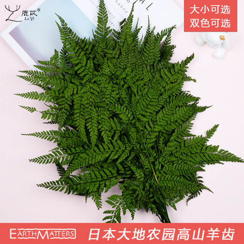 永生花大地进口花材圣诞