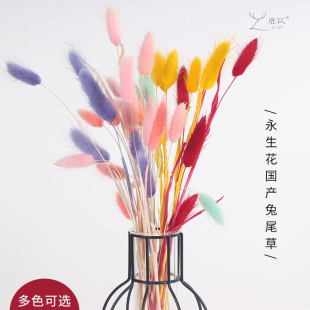 鹿苡永生花兔草狗尾草多色DIY材料包国产配叶居家插花瓶拍照道具