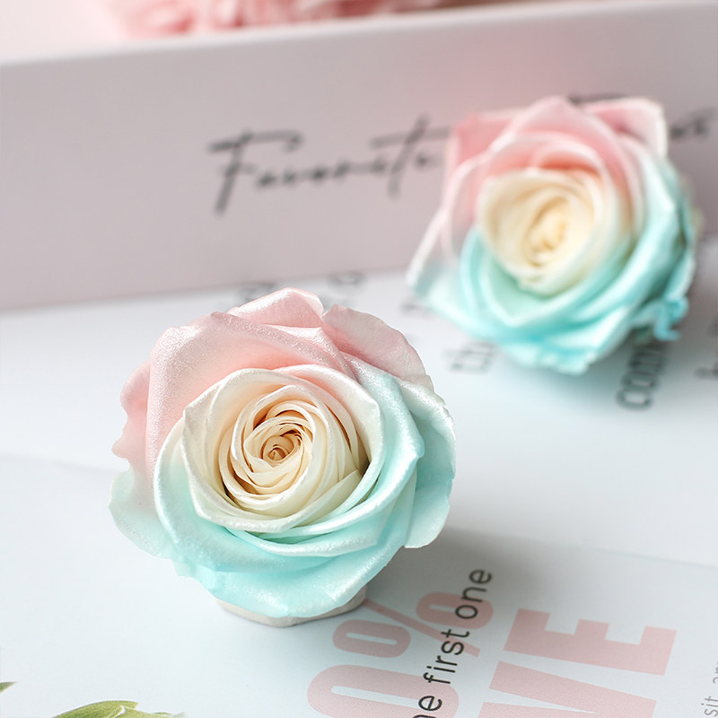 珠光玫瑰人鱼姬色欧若拉多色渐变4-5厘米中大号diy手工网红永生花,鲜花速递/花卉仿真/绿植园艺,永生花,淘宝优惠券,粉丝福利购,淘宝优惠卷