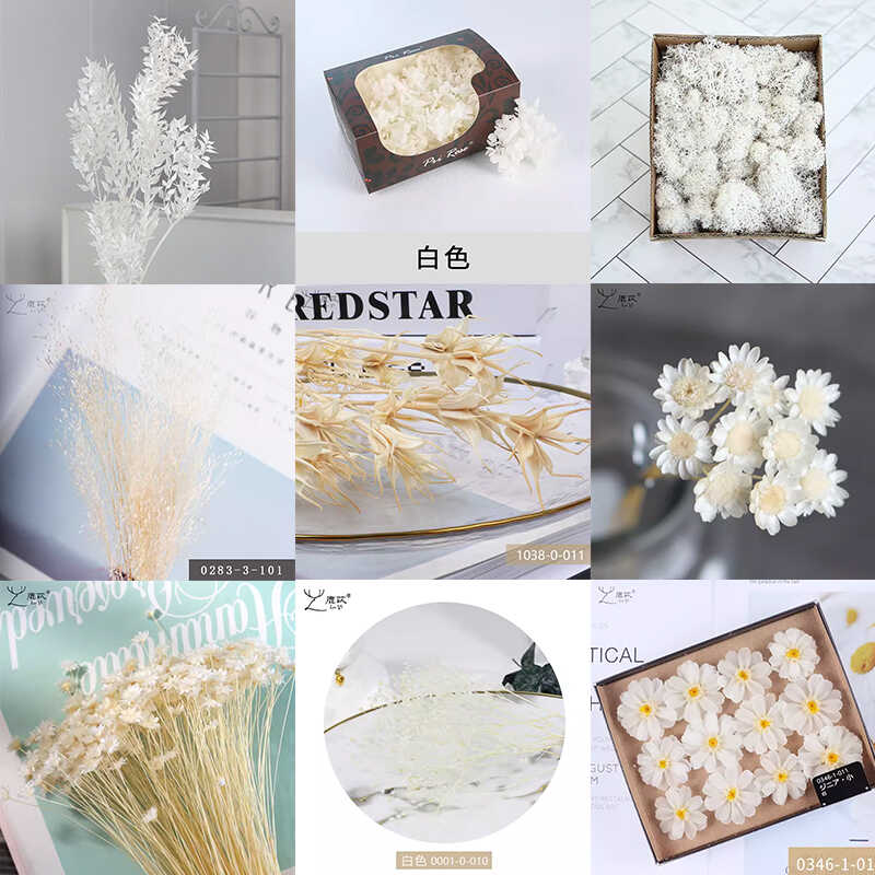 鹿苡白色系永生花diy材料包