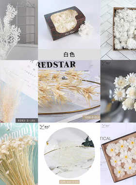 永生花白色系花材合集配材配花叶子手作教程手工制品合集DIY材料