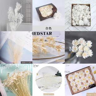 永生花白色系花材合集配材配花叶子手作教程手工制品合集DIY材料