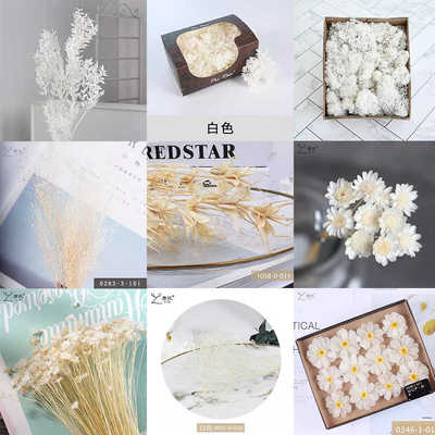 鹿苡白色系永生花diy材料包
