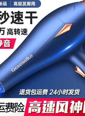 德国高速电吹风机家用大功率发廊3000w大风力负离子护发速干冷热