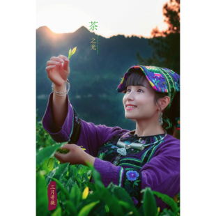 2026 新茶保靖黄金茶红茶正宗湘西特产蜜韵醇厚礼盒装散装茶叶