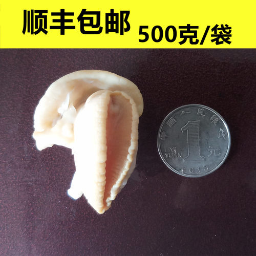 白玉蜗牛肉速冻餐饮酒店试菜焗蜗