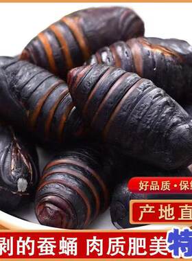 东北大茧蛹鲜活蚕蛹A级柞蚕蛹黄黑带皮蝉蛹食补高蛋白辅食1000克