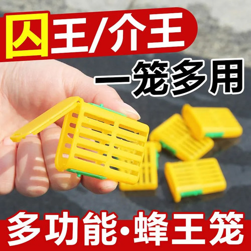 2025新款中意蜂囚王笼多功能王笼