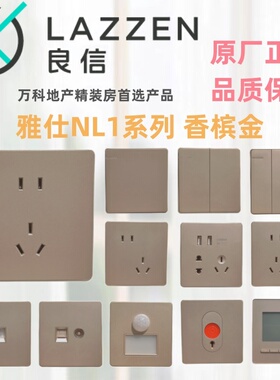 Nader良信N1L香槟金一位双控单开五孔16A空调电脑USB开关插座面板