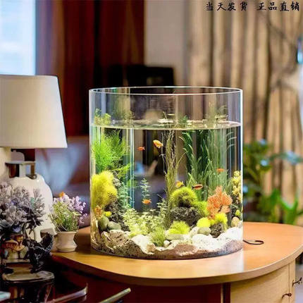 圆柱型鱼缸超白加厚玻璃客厅小型家用水族箱懒人免换水生态金鱼缸