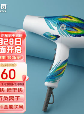 火之凤吹风机理发店专用电吹风筒负离子2400W大功率发廊大风力速
