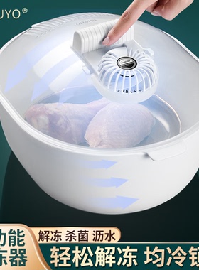 HUYO德国解冻神器家用快速解冻器解冻肉机杀菌保鲜牛排解冻专用工