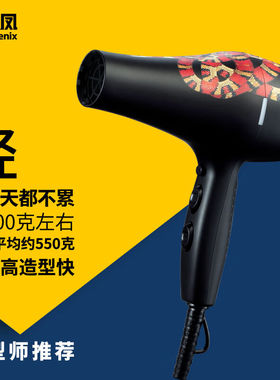 火之凤吹风机5600A家用大功率2000W大风力速干低噪音发廊理发店专