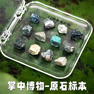 探秘自然12种天然水晶矿石宝石标本儿童地质石头原石礼品书房摆件