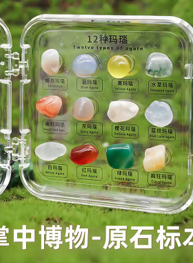 探秘自然掌中博物矿物标本科普
