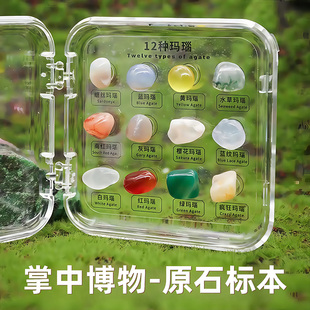 探秘自然掌中博物12种天然水晶矿石儿童矿物标本便携掌中宝石科普
