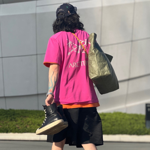 现货始祖鸟有机棉T恤紫标限量