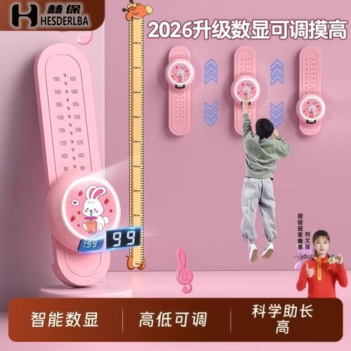 儿童家用语音计数摸高弹跳器