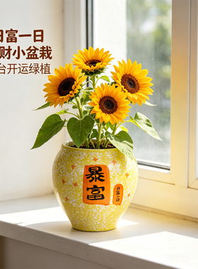 暮语陶瓷中国风手绘花盆