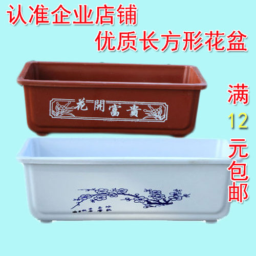 水仙铜钱草水培古典树脂