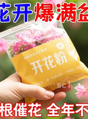 快速开花粉强效款式茶花桂花玫瑰三角梅茉莉爆花通用促花园艺肥料