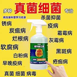 菌立清杀菌剂植物微生物菌剂月季兰花桂花黑斑烂根腐病专用杀菌剂