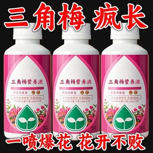 开花催芽促花高效 三角梅营养液专用家用盆栽花肥四季 永不枯叶