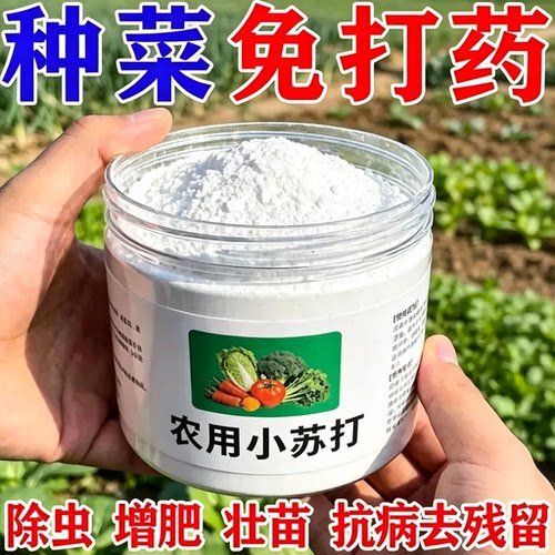 小苏打农用种菜打菜碳酸氢钠蔬菜专用肥料小苏打除虫杀菌增产促果