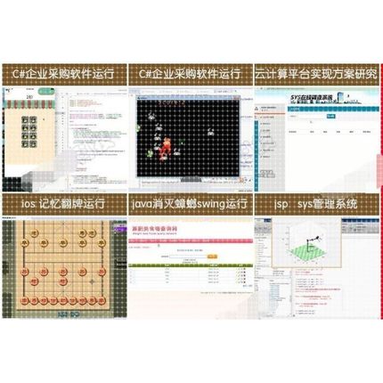 R语言数据分析java程序代做c++c语言matlab图像处理python编程php