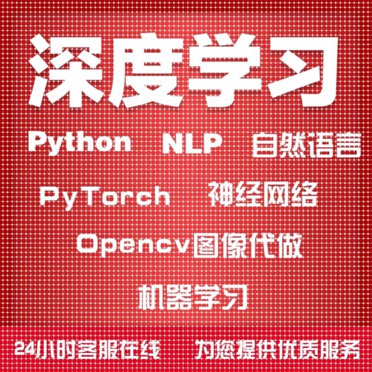 Python深度机器学习NLP自然语言PyTorch神经网络Opencv图像代做