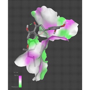 分子对接/结合能/服务顾客超500位/虚拟筛选/分子动力学模拟
