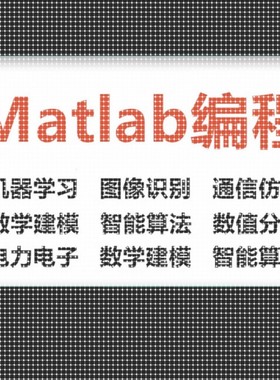 matlab程序代编写代做FPGA专业Modelsim彷真