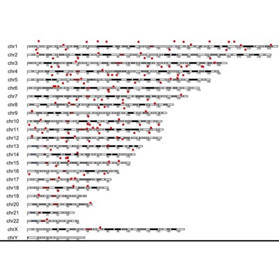 R语言代码Rstudio绘图SCI科研生信医学桑基热图数据分析作图教程