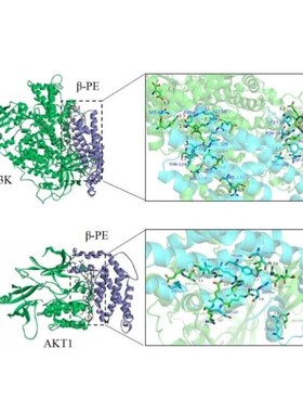 分子动力学模拟 DFT计算高斯 MS Gaussian Materials studio