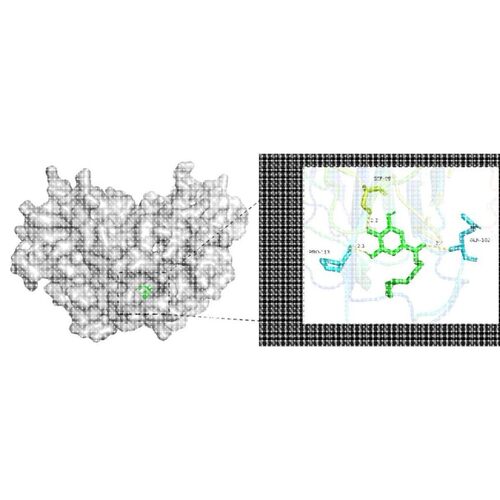 分子对接 分子动力学模拟 Autodock分子对接 PyMOL可视化