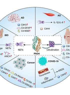 SCI科研绘图代画生物医学插画画图机制图流程图图形摘要封面美化