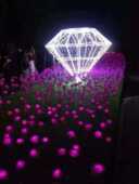 装 钻石造型灯 饰灯 广场景观灯 户外公园