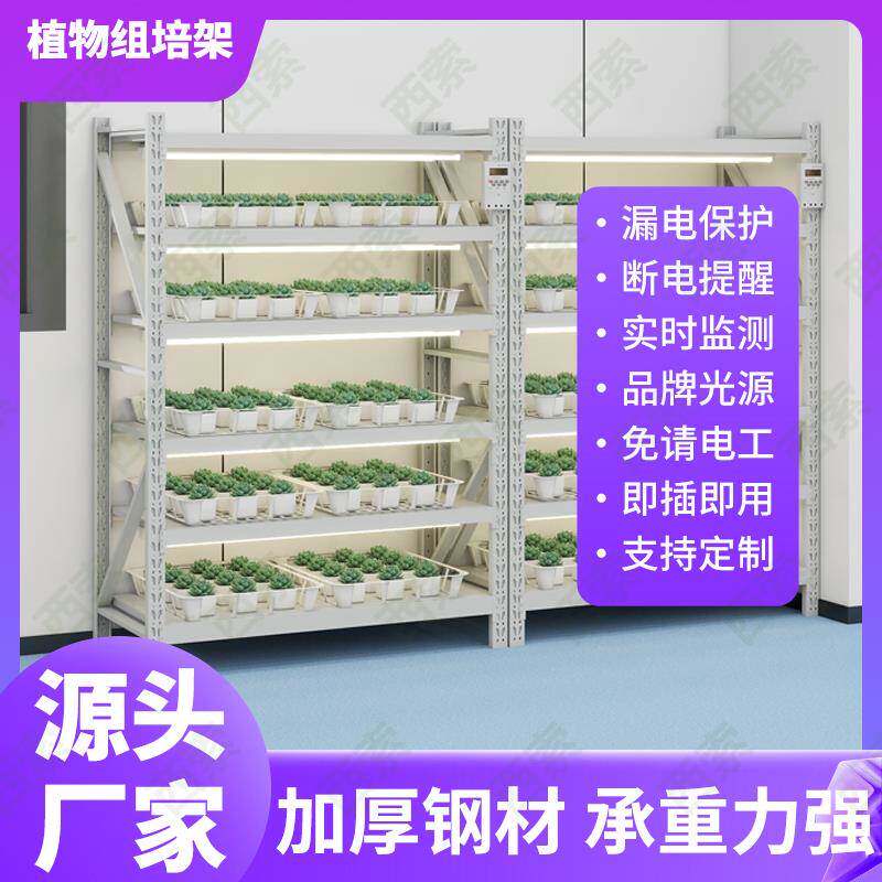 植物组培架实验室光照培养架LED灯可盆栽育苗架子T8培养皿架定制