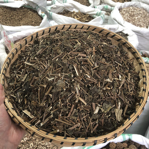 佩兰云南深山当季采收中药材