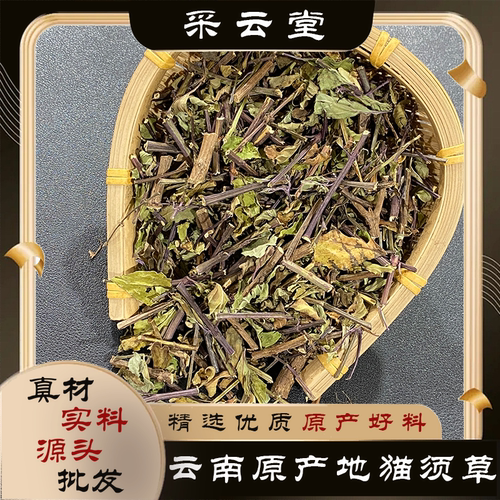 猫须草又名肾茶云南西双版纳特有