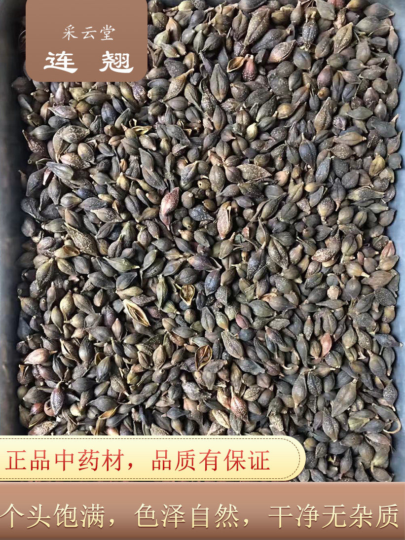 连翘1克云南连翘连壳青翘落翘连召连招连桥茶连翘壳粉中药材 - 小编推荐 - WePost 全民代运 - 马来西亚中国淘宝代运与集运专家